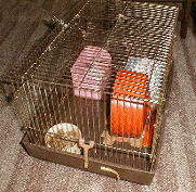 �g�n�d�h��HM40