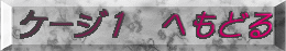 P[WP@